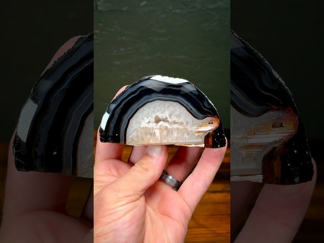 The “Turtle” Geode Agate! Bands and Crystals ✨