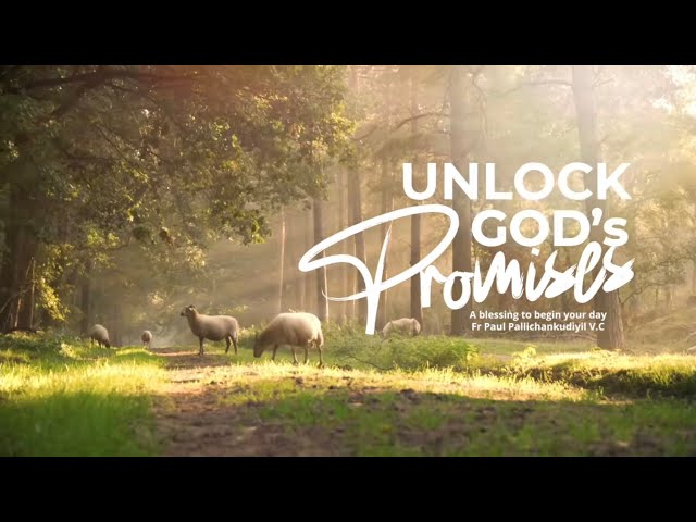 Unlock God's Promises: a blessing to begin your day (Day 981) - Fr Paul Pallichamkudiyil VC