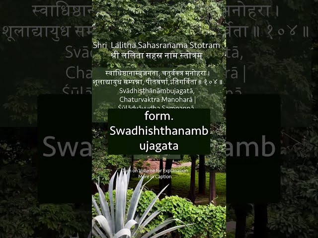 Shri Lalitha Sahasranamam Shloka 104|  Swadhishthanambujagata  |Just Sudha Gyan