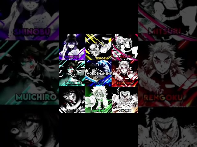 HASHIRA BATTLE!