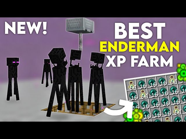 Best ENDERMAN XP Farm for Minecraft Bedrock MCPE 26.4!