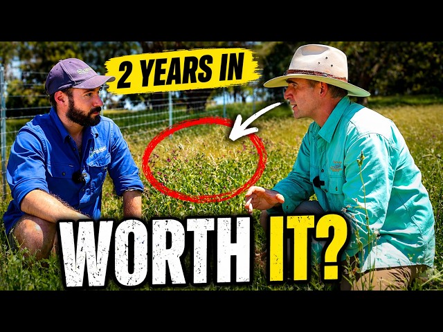 Can A Small Farm Be Regenerative?
