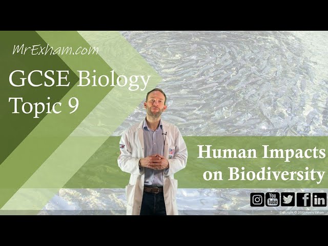 Human Impacts on Biodiversity (Fish Farming/Invasive Species/Eutrophication) - GCSE Biology (9-1)9.9