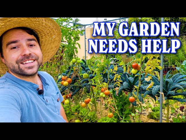 2 Hours of Gardening in 26 Minutes