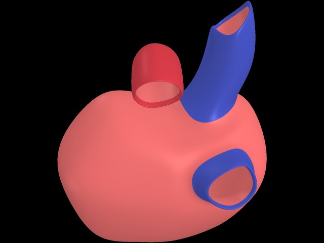 Intuitive Organic Surface Modeling Tutorial