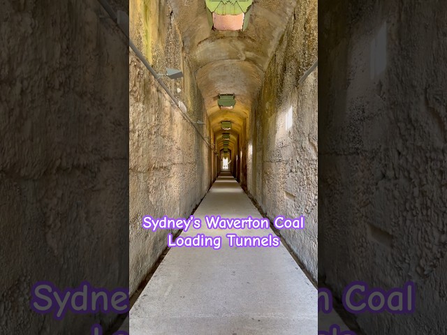 Sydney’s Waverton Coal Loading Tunnels #shorts #abandonedoz #travel