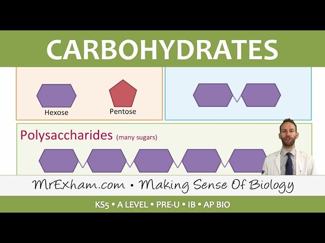 Chemicals of Life - Carbohydrates - Post 16 Biology (A Level, Pre-U, IB, AP Bio)