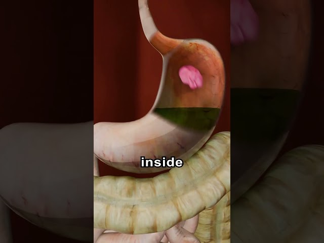 What Happens If You Swallow Gum 😱