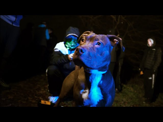 🏴󠁧󠁢󠁳󠁣󠁴󠁿JC X SD - Life We Live (Official Music Video)