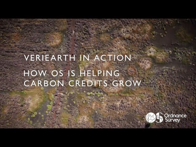 VeriEarth in action - How OS is helping carbon credits grow