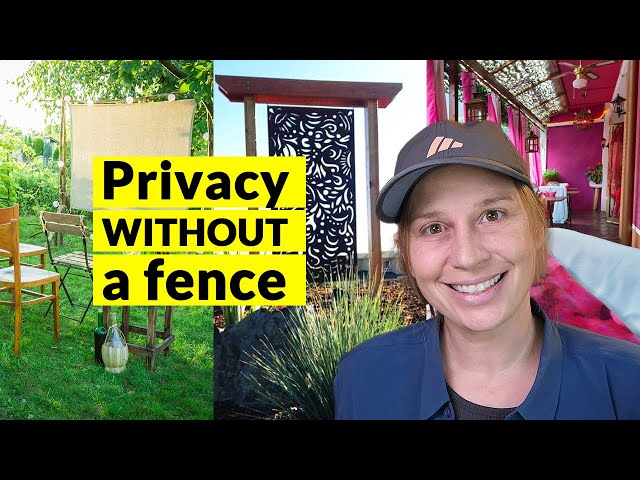 Backyard privacy ideas that go way beyond fencing