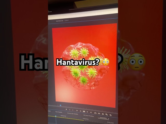Blender 3D virus Model #HantaVirus