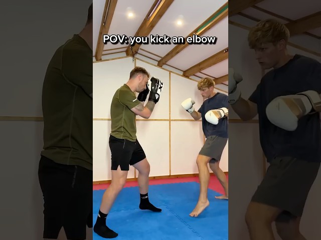 POV: you kick an elbowā¦