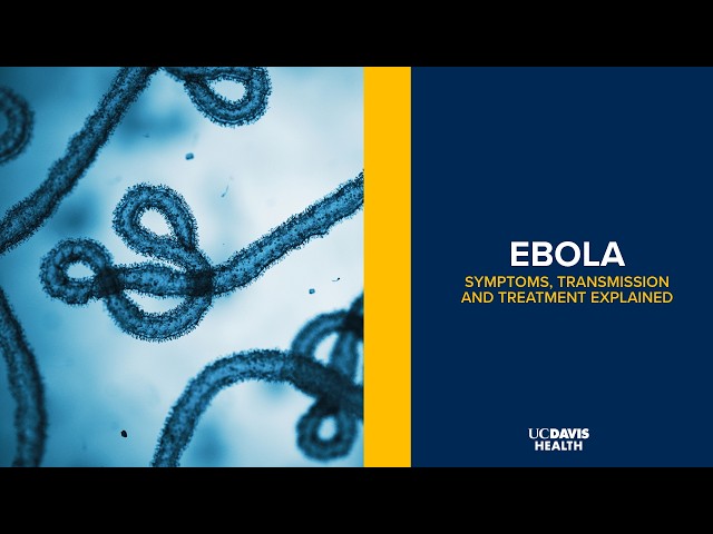 Ebola Explained: How It Spreads, Fatality Risk, and What the Public Should Know | UC Davis Health