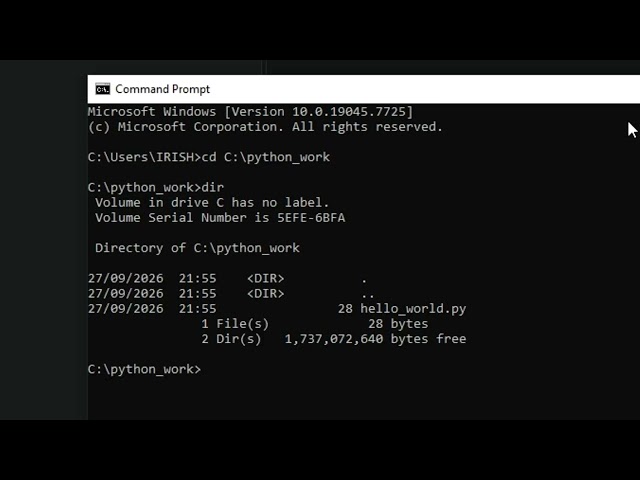How to Run Saved Python Scripts directly in Windows Command Prompt