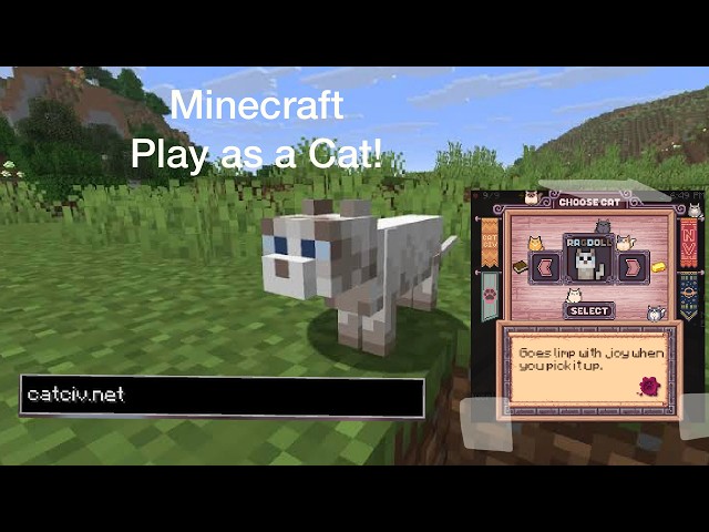 Playing as a Cat on a Minecraft Server! (Java Minecraft)