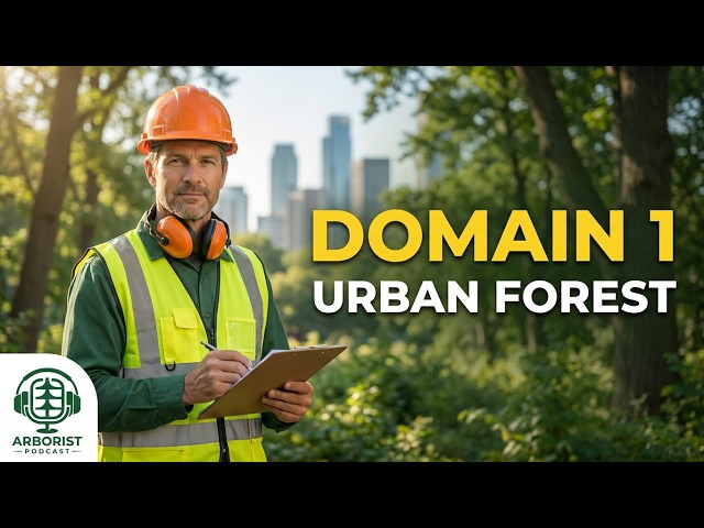 Urban Forest Management - ISA Urban Forest Professional: Domain 1#UrbanForestry #ISACertification