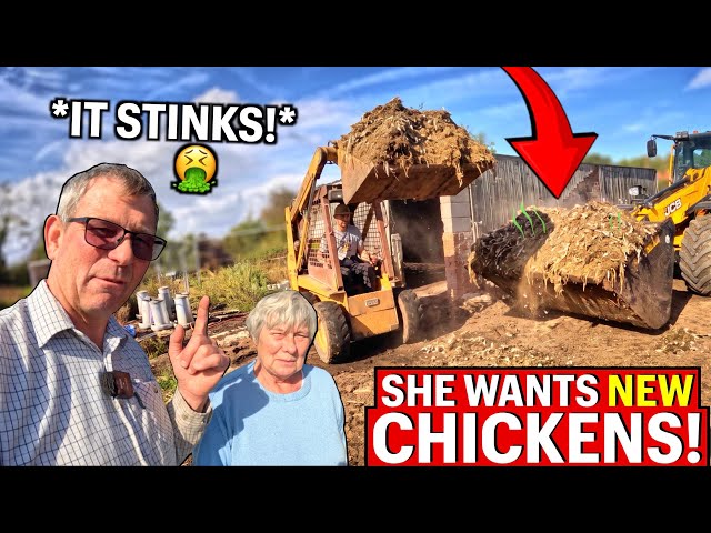 £4500 Spent On 300 New Chickens Are Coming - But First We Have This NIGHTMARE!