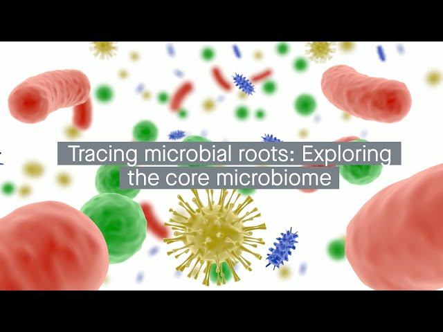 Unravelling microbial family trees: Using evolution to understand the core microbiome