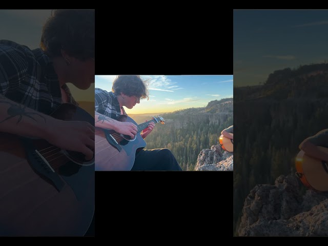 My favorite harmony from our new song #shorts #guitar