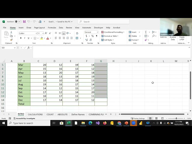 Day 1   Data Analytics Training with TechDrive   October 2025 Cohort