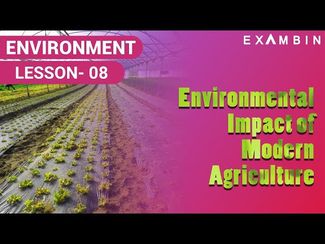 Environmental impact of modern agriculture