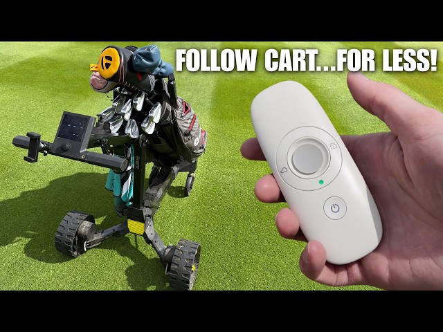 This Follow Golf Cart Costs HALF the Price...What's the Catch? Gozo Follow Review