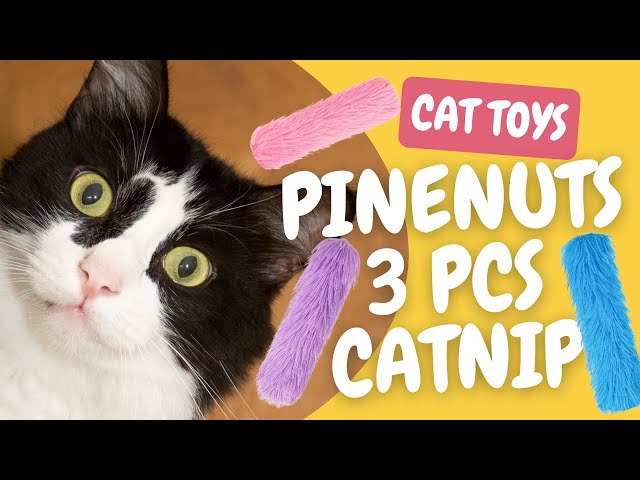 Crazy Fun! Our Cats Go Wild for These Colorful Crinkle Toys! 🐱 | Pinenuts Catnip Toy Review