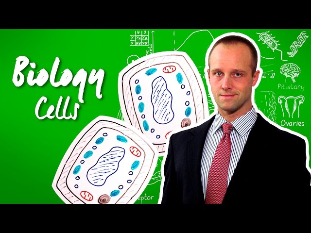 Cells - GCSE IGCSE 9-1 Biology - Science - Get That C In your GCSE and IGCSE