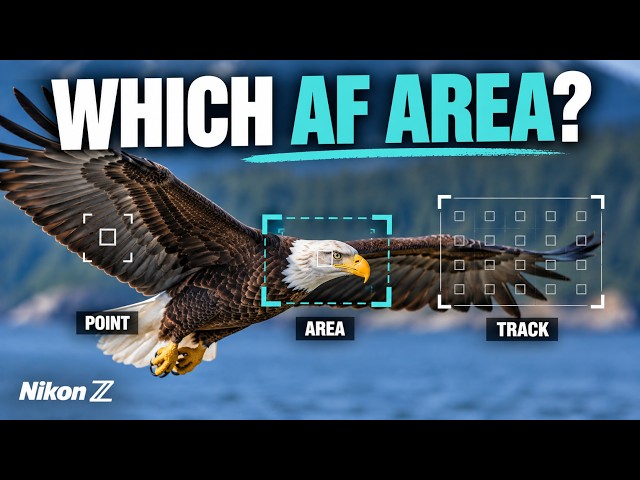 Are You Using the Wrong Nikon Z Autofocus Mode?