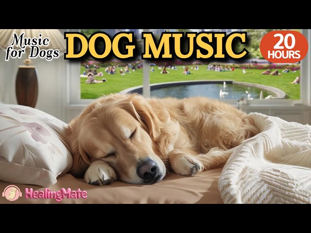 20 HOURS of Dog Calming Music🐶🎵Separation Anxiety Music for Dogs🐶💖Dog Healing Sleep Music