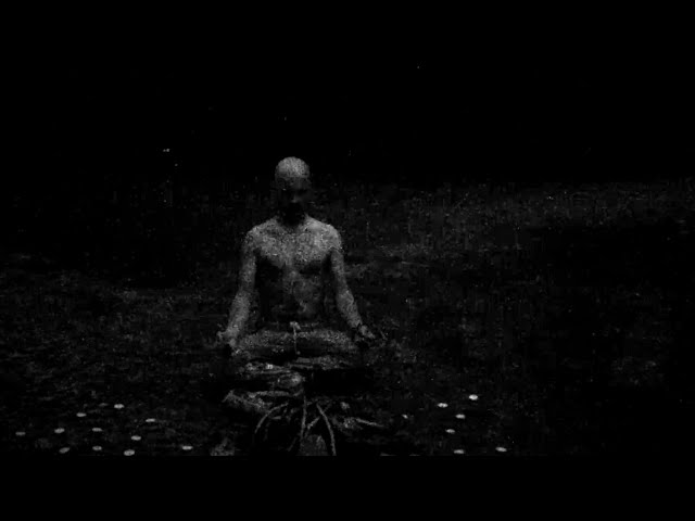 "Hey Hey My My (Into the Black)" Neil Young Cover by AOD
