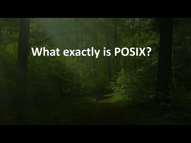What exactly is POSIX?