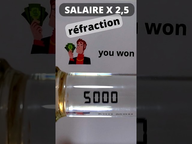 RÉFRACTION DE LA LUMIÈRE 🔦✨, IMAGE RENVERSÉE 🔄👀 #science #chimie #physics #physique