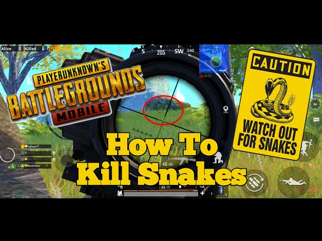 How to Kill Snakes in PUBG MOBILE 🐍 | HOGRANGER GAMING 🐗