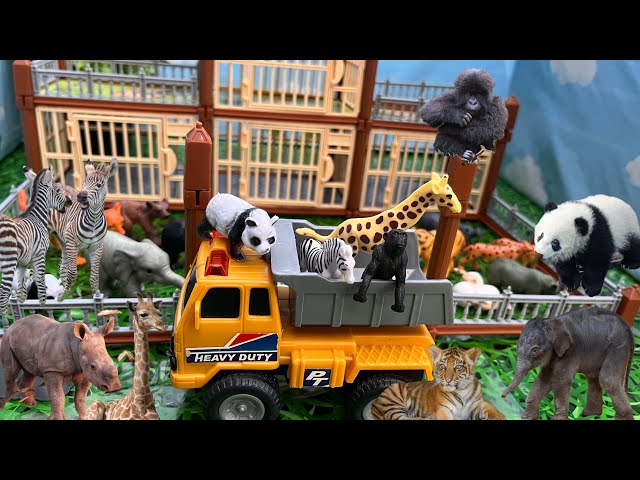 Baby Animals in the Amazing Zoo Arrive in a Truck | Zoo Animals for Kids | Baby Tiger, Baby Zebra
