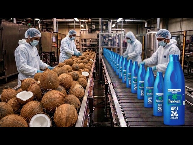 Inside the Parachute Coconut Oil Factory: How Raw Coconuts Become India’s No.1 Oil | Process Factory