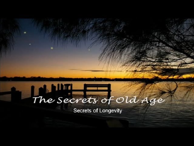Starry Starry Night, (Vincent) Secrets of Old Age