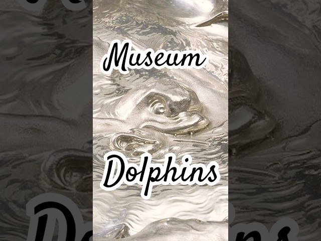 The V&A Dolphin Collection 🐬