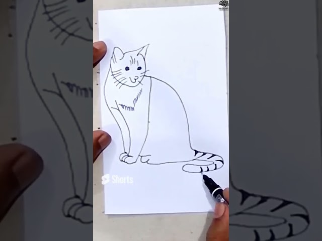How to draw a cat easy #shorts