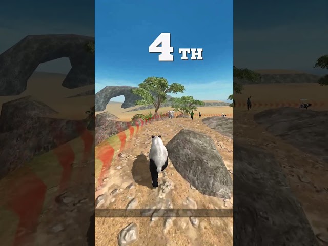 Animal Run: Wild Race (Panda) Arena 6 4K 60FPS  - Full Video on This Channel #wildrace #4k