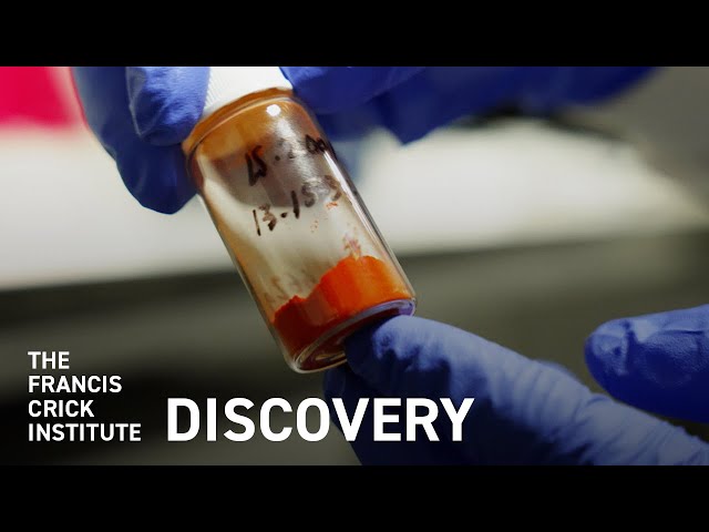 This Powder Could Rescue Antibiotics