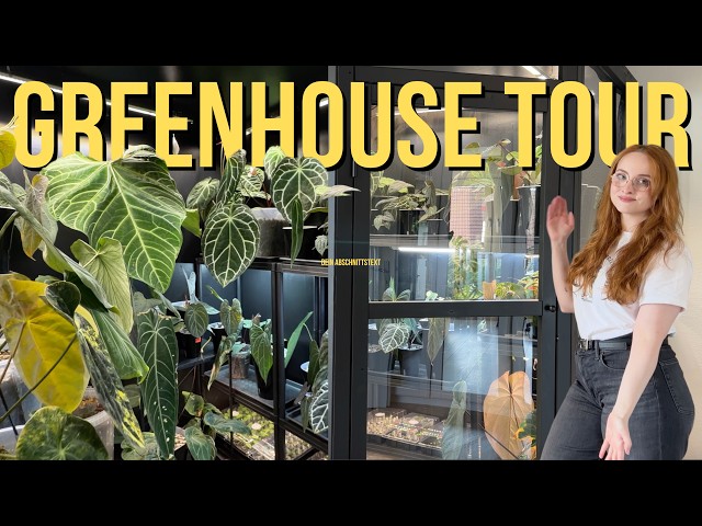 Inside My Indoor Greenhouse I My 300+ Plant Collection