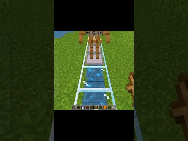 Minecraft #minecraft #shorts