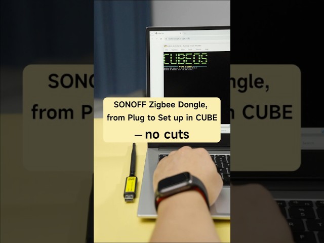 SONOFF Zigbee Dongle, from Plug to Set up in CUBE— no cuts #ewelinkcube