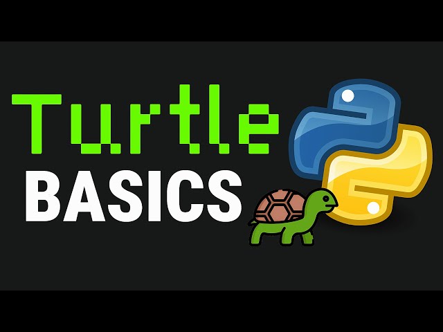Learn Python Turtle: 10 Fun & Easy Examples for Beginners