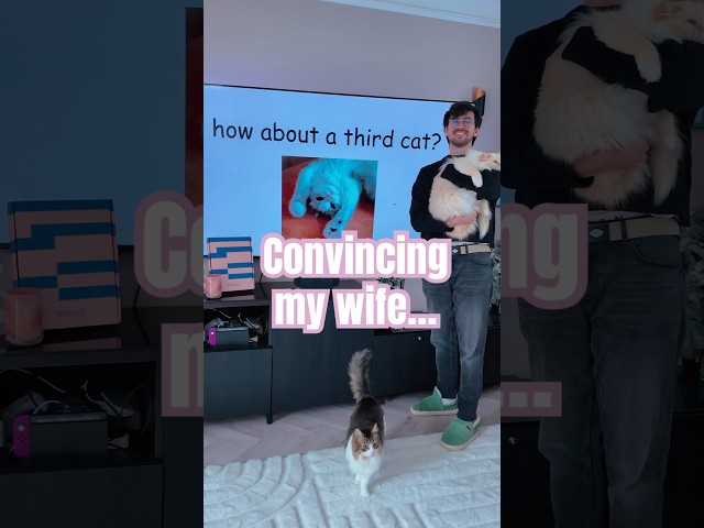 Convincing my wife…
