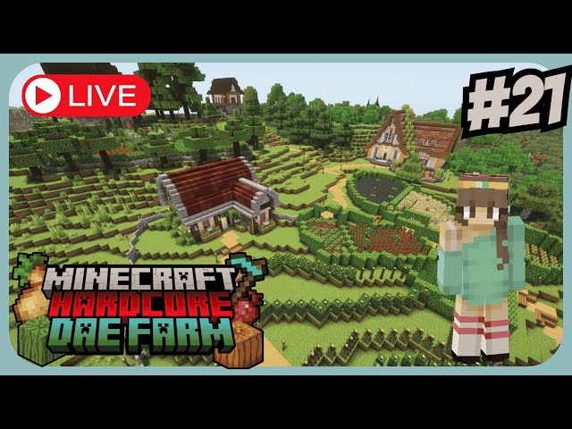 Modded Hardcore Minecraft - Dae Farm - Episode 21 - Taking on the Ender Dragon