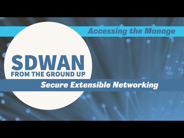 Accessing the vManage