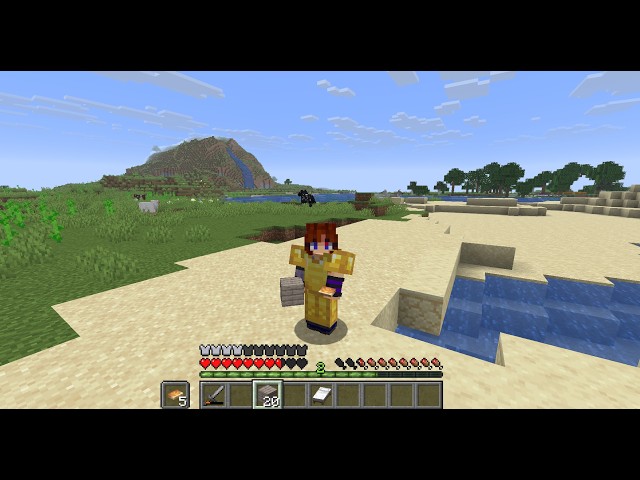 Going on a WILD ADVENTURE (Java~04)
